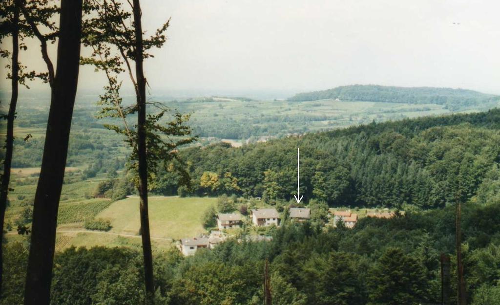 Ferienwohnung Unterschuetz Ettenheim Luaran gambar